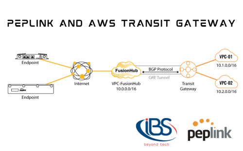 Peplink and AWS Transit Gateway