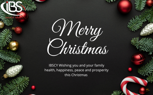 Merry Christmas 2024 from IBSCY team 